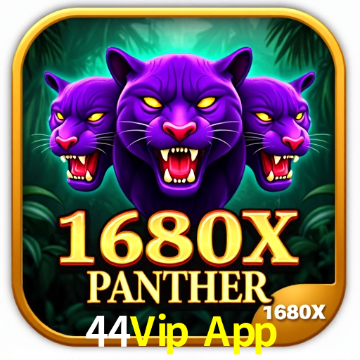 Security Systems 44Vip App